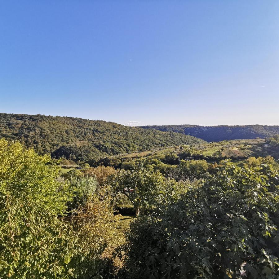 Ferienwohnung Apartma Zan Šmarje Exterior foto